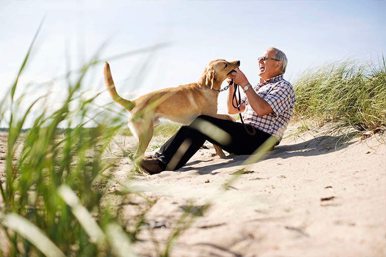 senior man on the beach with this dog financial planning for retirement melbourne fl